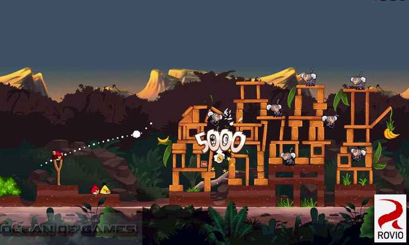 Angry Birds Rio Features