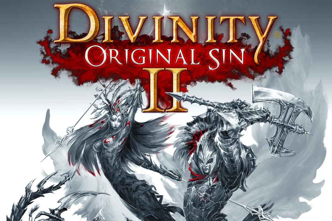 Divinity Original Sin 2 Setup Free Download