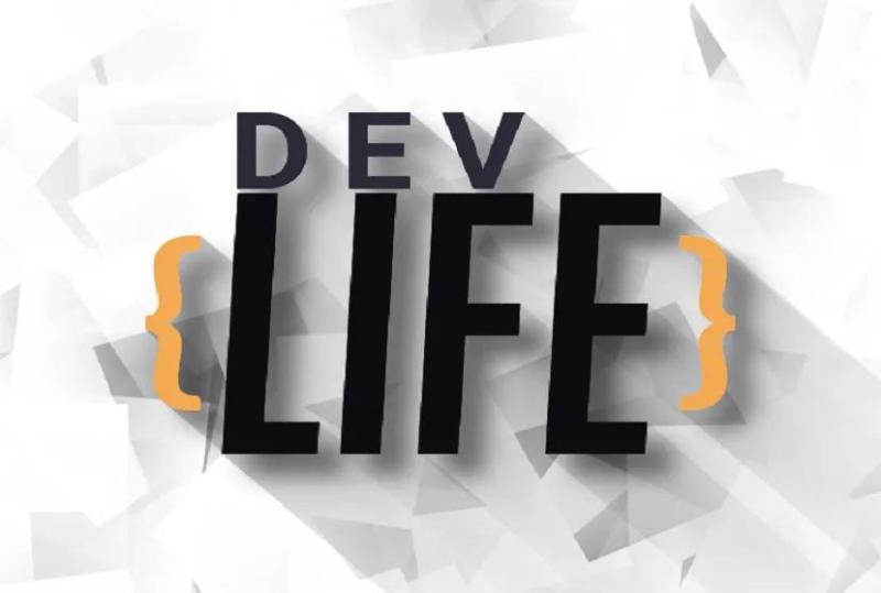 DevLife Free Download - 38