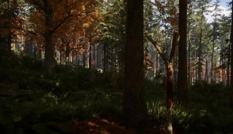 What are the Sons Of The Forest System Requirements? How Much GB?