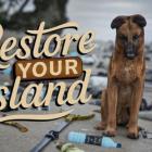 Restore Your Island v20260412 Free Download (1)